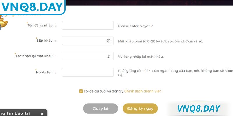 Hướng dẫn các bước chi tiết để đăng ký VNQ8 