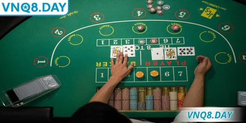 Các lá được tính điểm theo quy ước chuẩn quốc tế